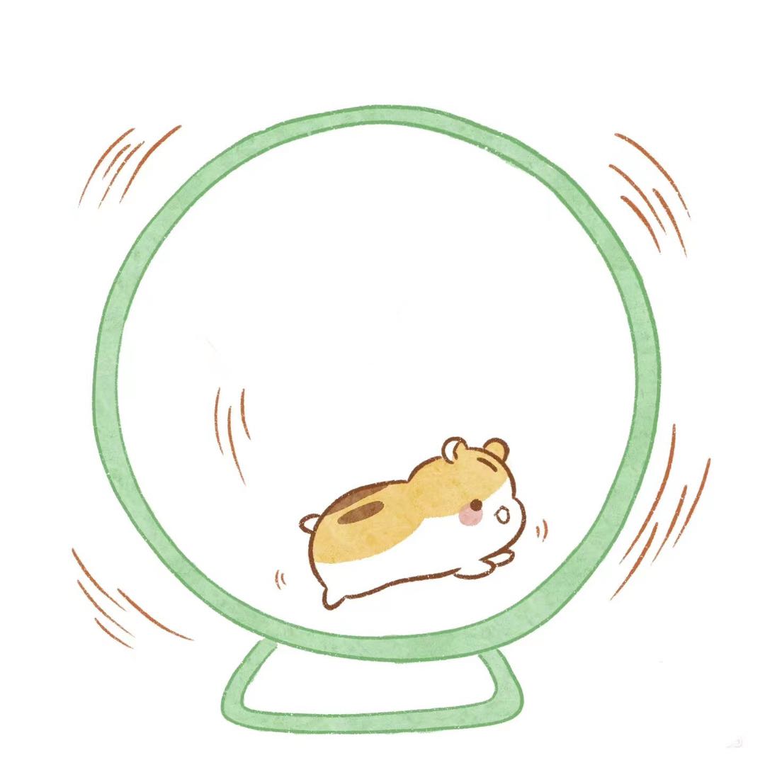 Roue Hamster