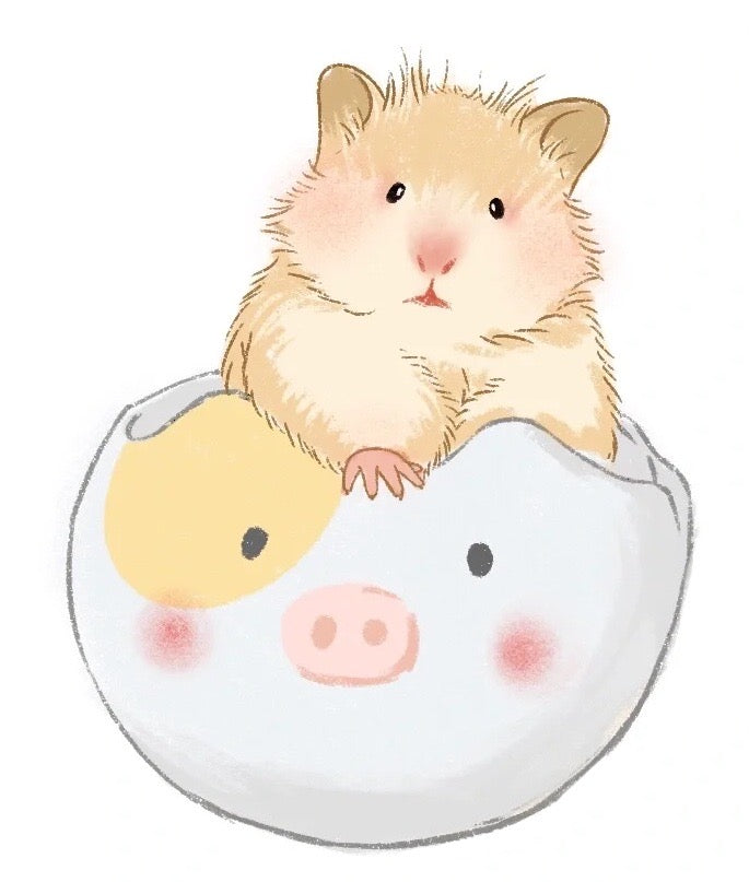 Maison Hamster