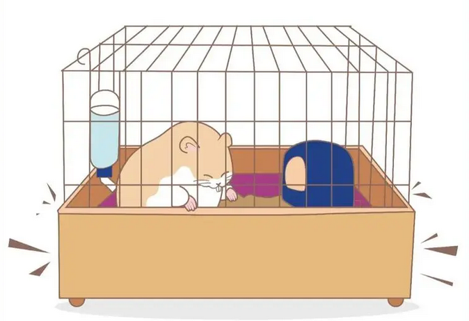 Cage Hamster / Accessoire Hamster pour Cage